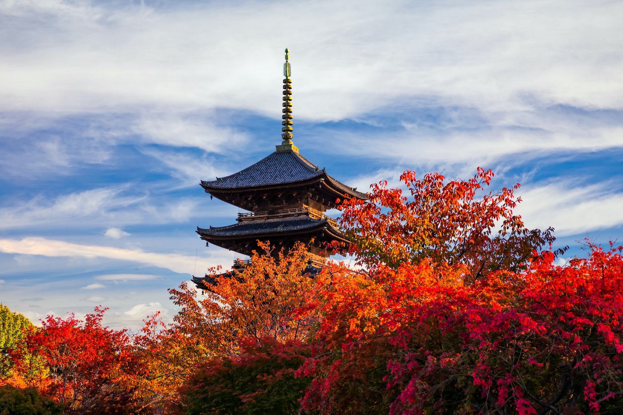 The wooden tower of To-ji Temple in Kyoto at autumn